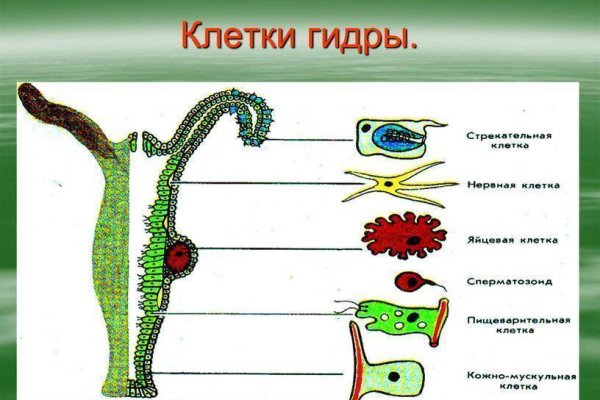 Как пополнить кракен