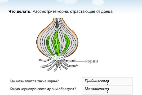 Зайти на кракен тор